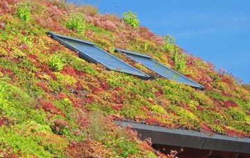 Myton On Swale living roof systems