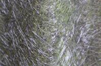 Myton On Swale fibreglass roof work